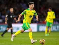 TK体育-包含凯恩遭遇七连败，塞尔维亚队教练面临压力！的词条