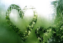 TK体育直播- 足协杯半决赛对阵出炉 